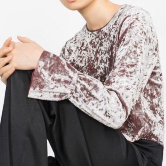 Zara Velvet Bell Sleeves Crop Top - Picture 1 of 10